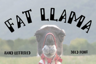 Fat Llama Font Review: Bold Script Design