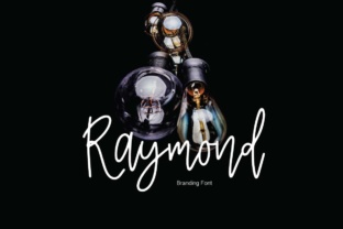 Raymond: The Elegant Script Handwritten Font for Editorial Branding