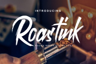 Roastink Script: A Sharp Elegant Choice