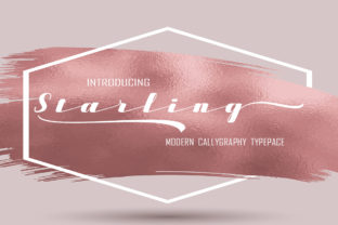 Starling Modern Calligraphy Font for Handmade Brands