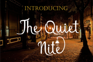 The Quiet Nite: Elegant Script Font for Feminine Branding