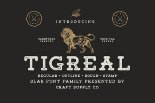 Tigreal Family: The Slab Serif Font for Scroll-Stopping Social Graphics